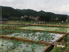 -红山村