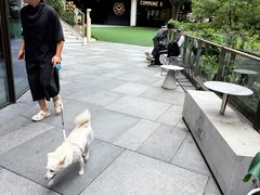 -瑞虹新天地月亮湾
