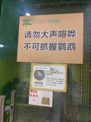 -神奇动物撸宠馆·羊驼·小浣熊·异宠(豫园店)