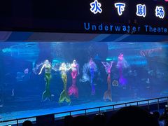 -泉城欧乐堡海洋极地世界