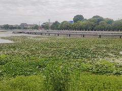 -鸣鹤古镇
