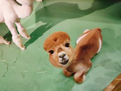 -藦茜花园宠物主题亲子互动体验馆(国顺东路店)