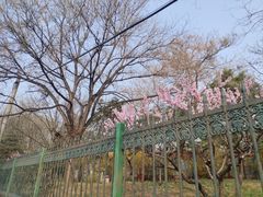 -玲珑塔公园