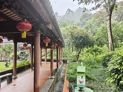 -广州神农草堂中医药博物馆