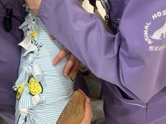 -恒幸动物医院·急重症转诊中心·神经内外科·CT核磁