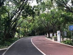 -南宁南湖公园