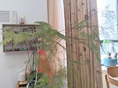 -艾柏堂8090经络·艾灸养生(御庭府邸店)