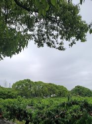 -BabyA 专业婴童摄影(古北时尚广场店)