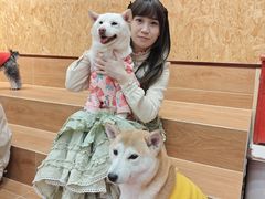 -和它·交个朋友·狗咖猫咖(爱琴海店)