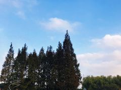 -上海月湖雕塑公园