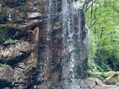 -西岭雪山大飞水景区