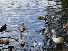 -台州府城(东湖)