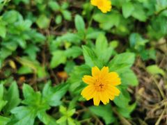 -爱尚鲜花店(粤通综合楼店)