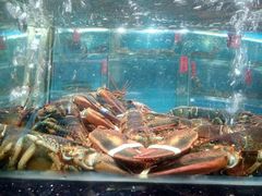 -海大大蒸汽海鲜餐厅·粤菜·特色小炒(欢乐颂店)