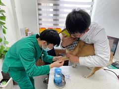 -心仪动物医院·牙专科·肿瘤·心脏科(西客站院)