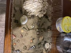 -深圳海边小筑客栈