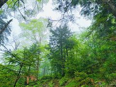 -吉林拉法山