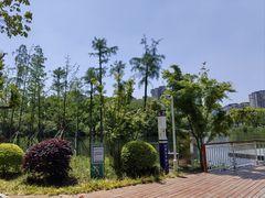 -SMP滑板公园