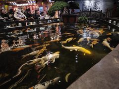 -唐山宴百姓府邸院落中餐
