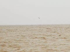 -崇海汽渡临永渡口