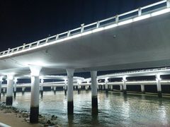 -演武大桥观景平台