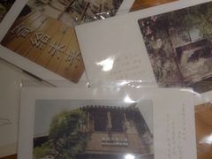 -猫的天空之城概念书店(苏州诚品店)