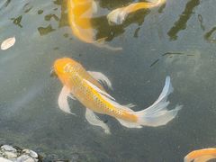 -成飞公园