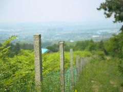 -吉林市朱雀山国家森林公园