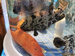 -金苑海鲜酒家(来魅力店)