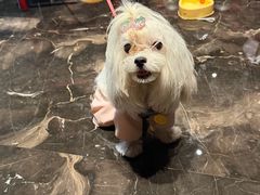 -鼎膳常火锅(华阳店)