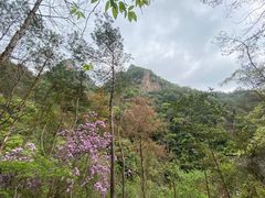-天台山琼台仙谷景区
