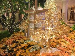 -拉斯维加斯永利酒店