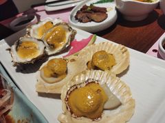 -黑松白鹿(新活馆店)