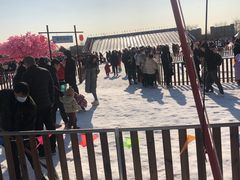 -绿野森林乐园冰雪季