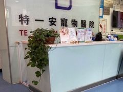 -特一安24小时宠物医院·骨科·中兽医
