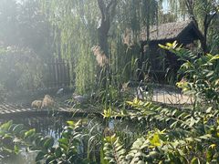 -苏州上方山国家森林公园