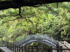 -广州市石门国家森林公园