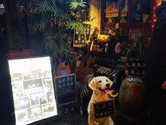 -民谣未来吧
