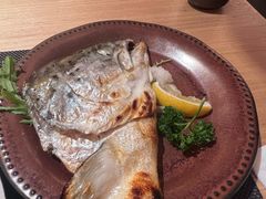 盐烤三文鱼头-德川家日本料理(中关村寰太大厦店)
