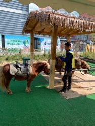 -萌宠亲子动物乐园(槐房万达店)