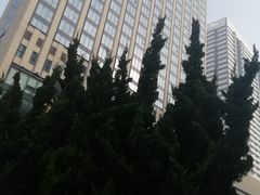 -青岛富力艾美酒店