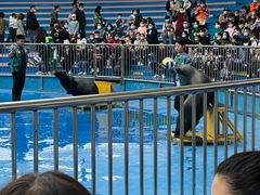 -华夏文旅海洋公园