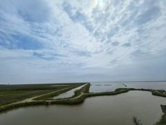 -盐城丹顶鹤湿地生态旅游区