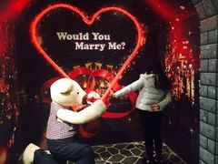 -济州岛泰迪熊博物馆