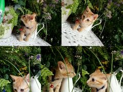 -广州迷途主题旅馆(海珠广场店)