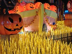 -厦门方特梦幻王国