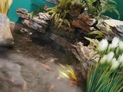 景观位-佬麻雀·剁椒鱼头(京基KK One店)