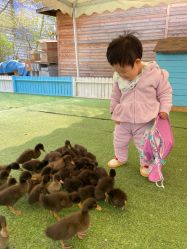 -萌宠亲子动物乐园(槐房万达店)