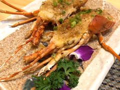 -割烹酱子日本料理(弘基财富广场店)