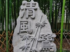 -陈家山荷花公园
